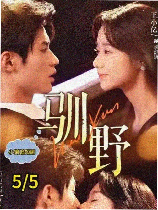 沉默证人 法庭悬疑剧集全集